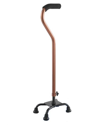Walking Stick